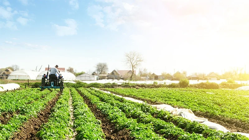 The Impact of Climate Change on Farming